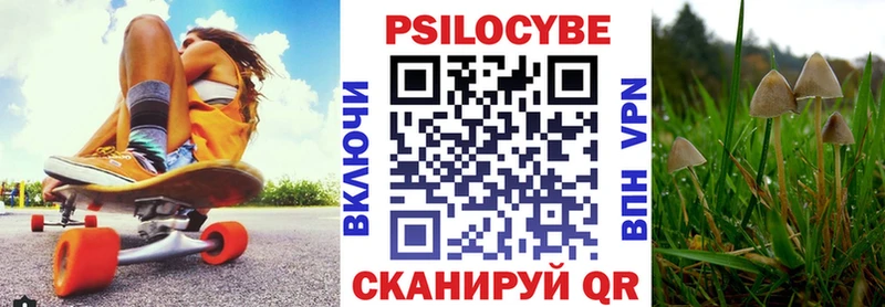 Галлюциногенные грибы Psilocybe наркошоп Лермонтов
